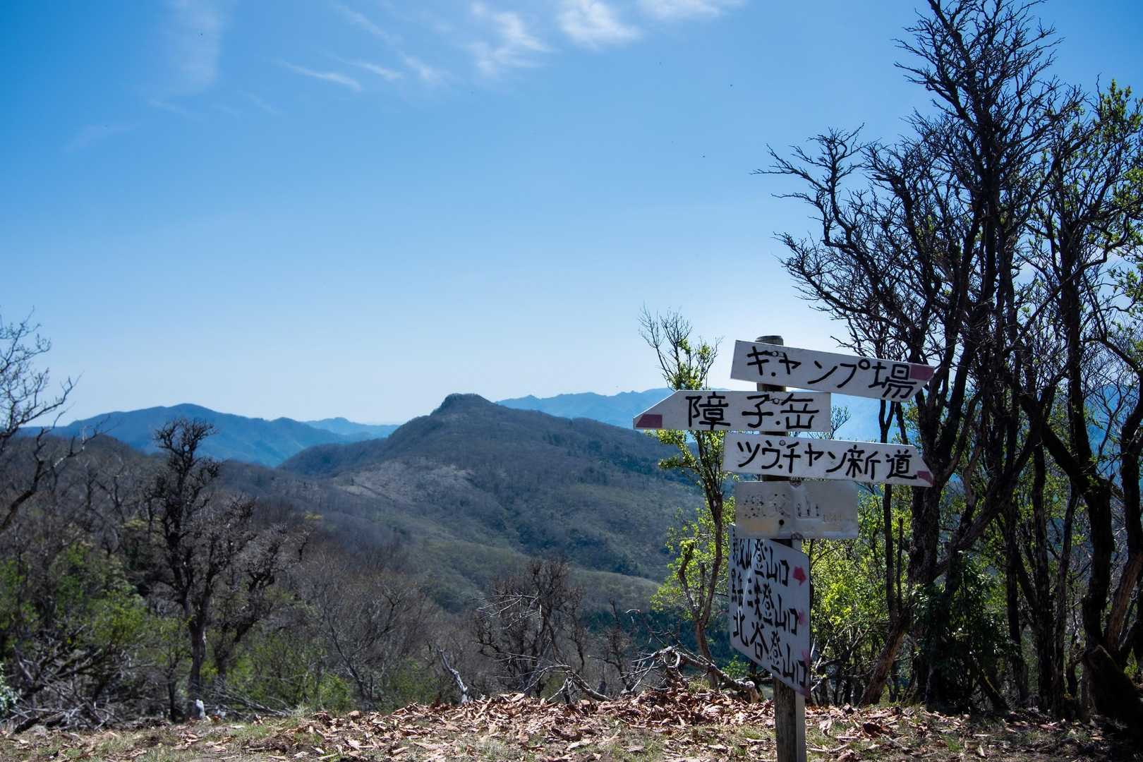 親父山まで来ました
古祖母山を眺め…帰ります💦
情けないことに、最近あまり動けてないので余力がない😅