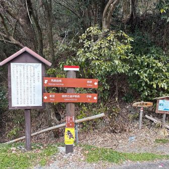 馬鹿曲がり入口