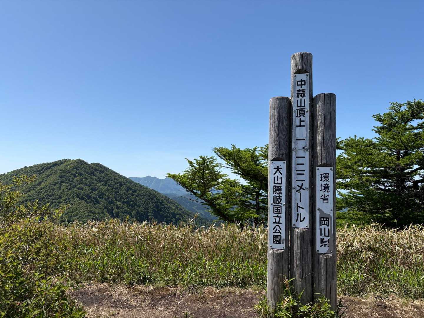 中蒜山！
