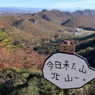 この植木、🕊️鳥の形に剪定してある？？