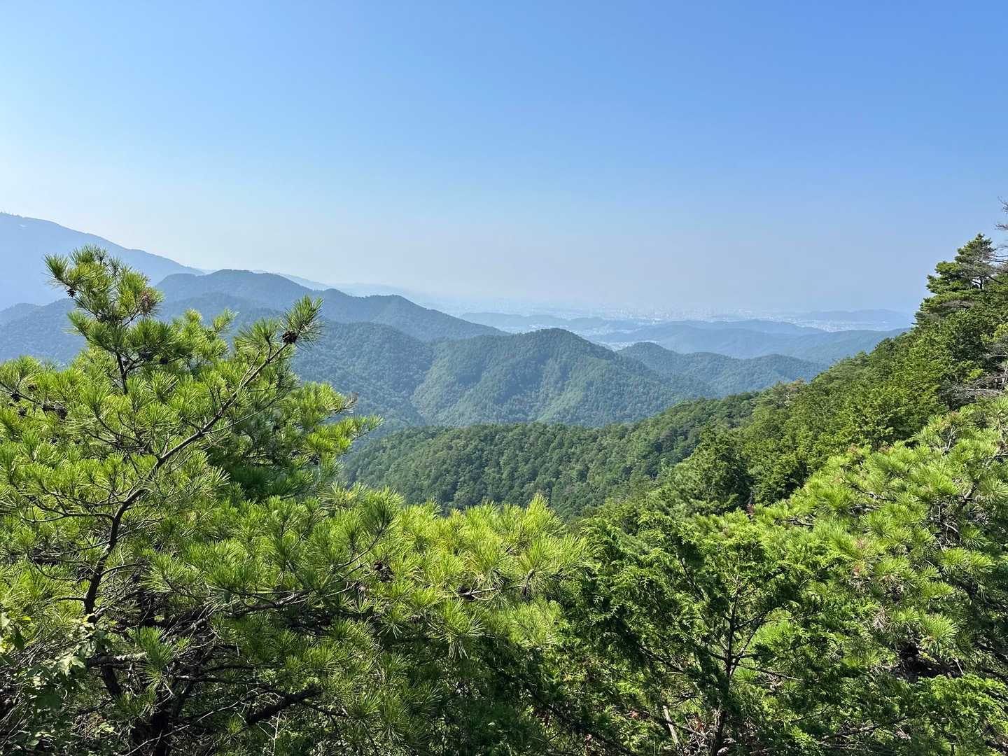 金毘羅山 往復コースの写真