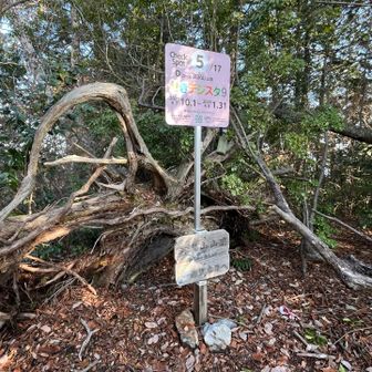 高沢山山頂〜💦
せきデジスタ9〜全部登って巡ってスタンプ集めて🤳
応募すると抽選で最大5000円せきpayが当たる🙌
もっと早く知っていたら…😎