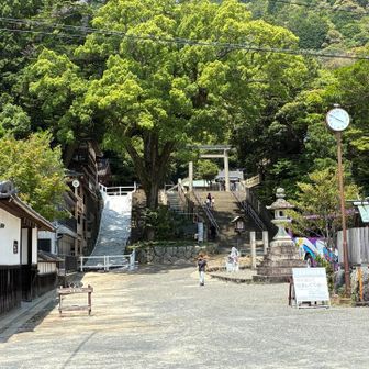 多度大社に寄って神馬様にご挨拶を…