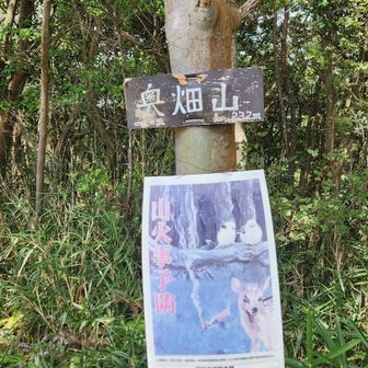 奥畑山👏