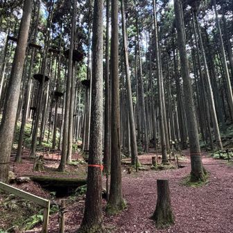 後半パートスタート
フォレスト・アドベンチャーの敷地を通過していくと、、、