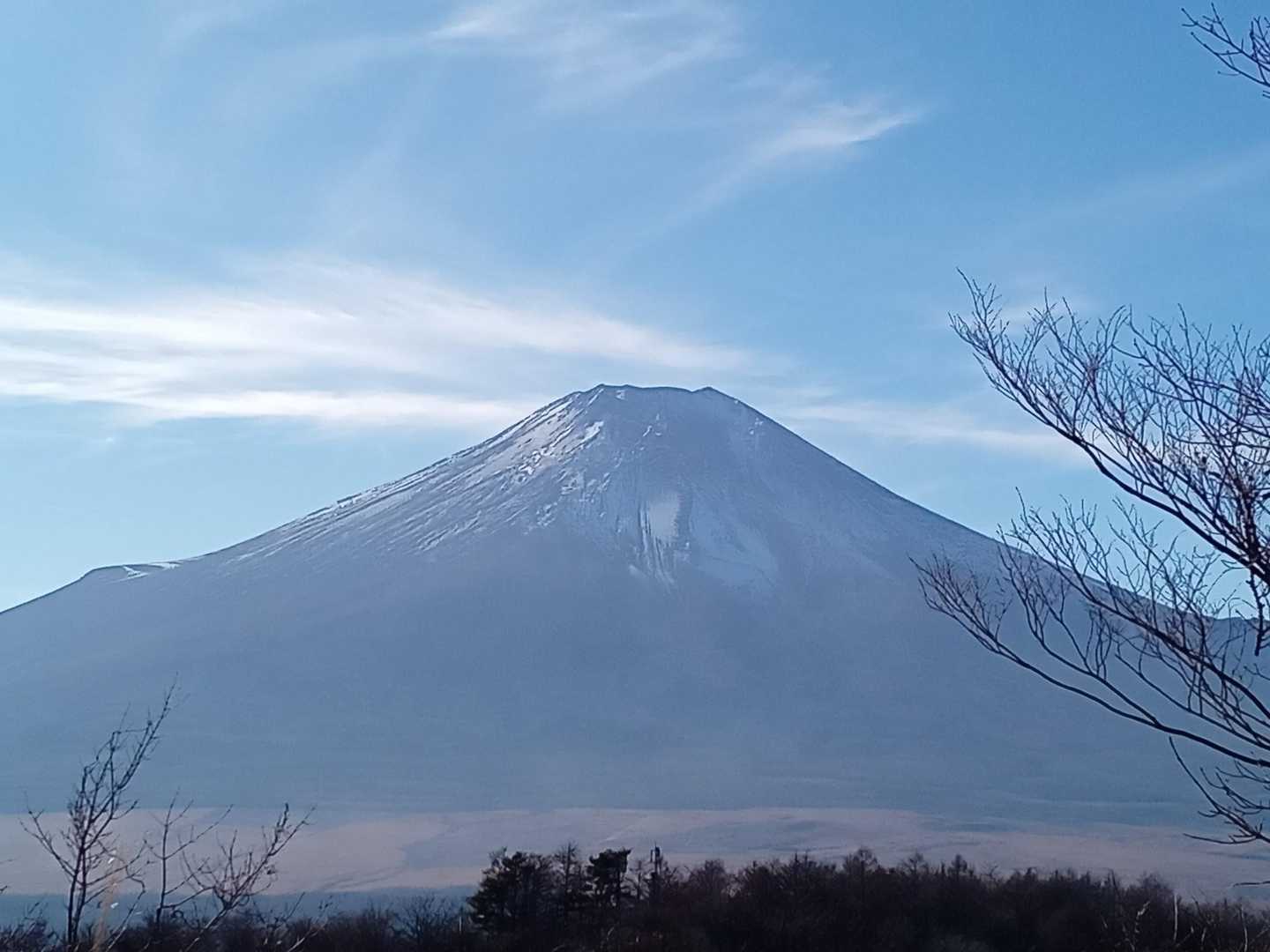 綺麗です