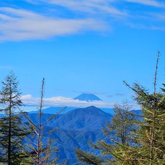 石尾根から富士山🗻

富士山手前のトンガリ君は
雁ヶ腹摺山ですね⛰️
左奥は杓子山とか見えてるかな👀
