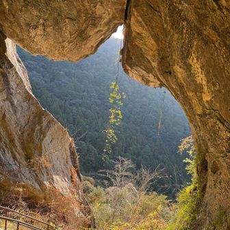 やったー🧡ネコに会えた