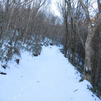 雪質が片栗粉みたいで歩きにくい😖
