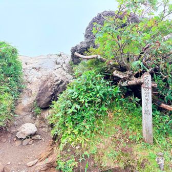 天狗の溜まり場らしい😅