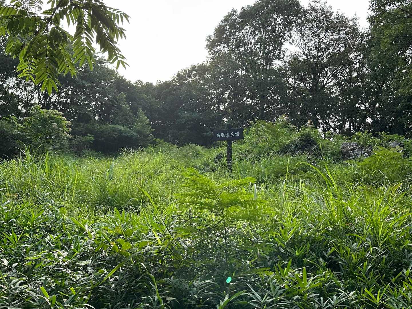龍ノ口山-龍ノ口八幡宮 周回コースの写真