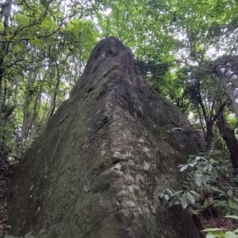 烏帽子岩。確かに。でも周囲はなにも見えません。