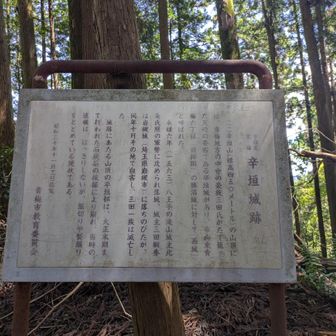 山城跡