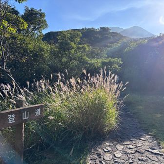 駐車場から道路を渡ると直ぐに登山道があり、しばらく進むと、ツルツルの黒土に足をとられながら登っていきます😅