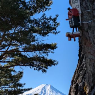 火の用心のてんぐさん