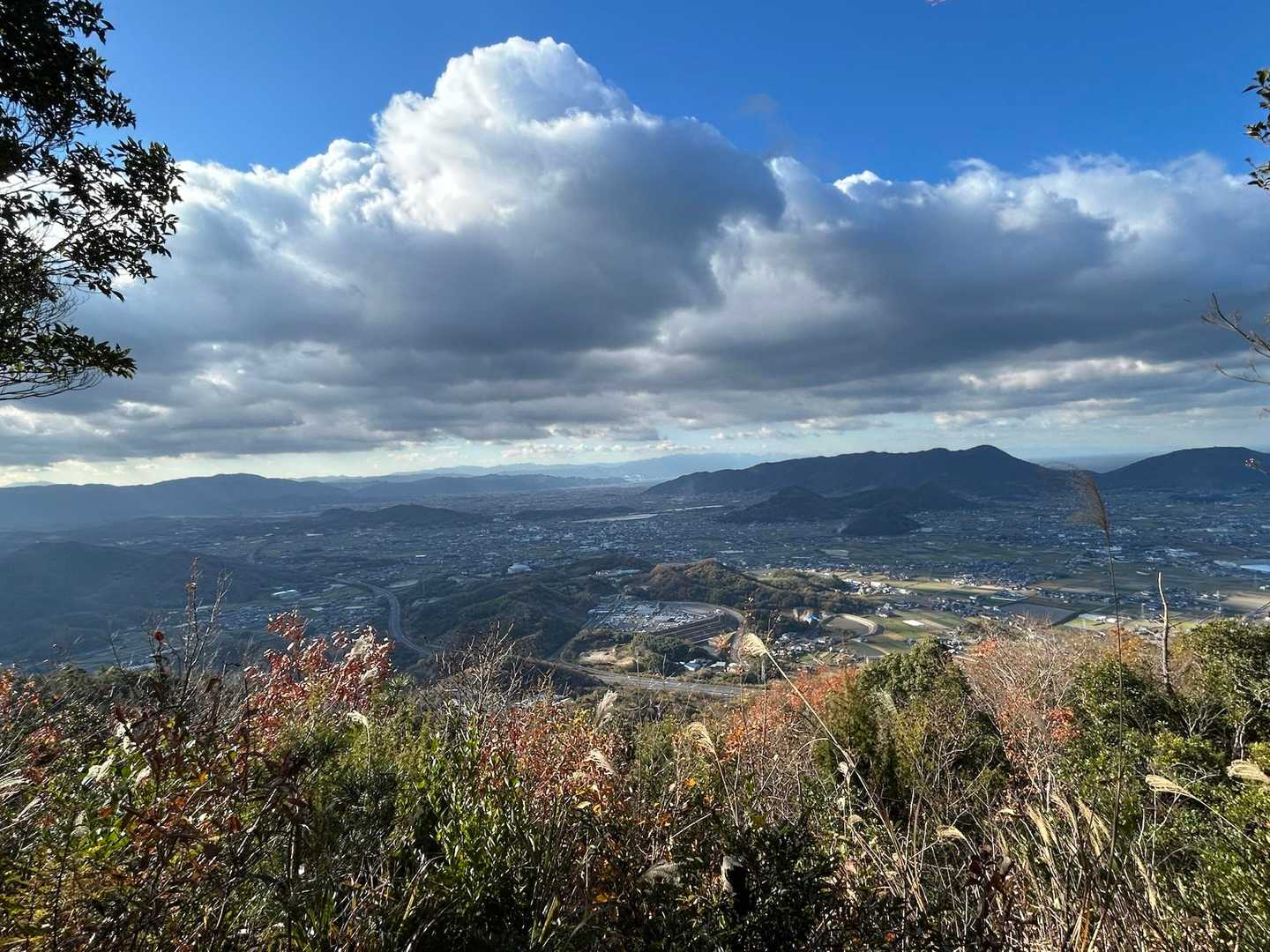 展望台より