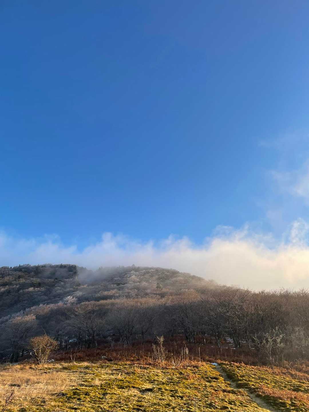 でも水無山の方が霧氷がありそうとお師匠の判断で行ってみたら大正解♪