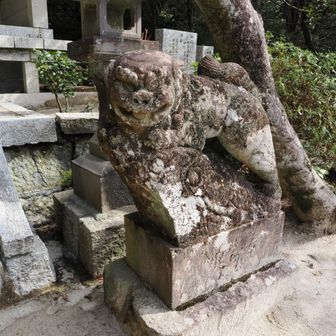 狛犬さん達は
