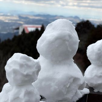 遠くを見つめる雪だるまさん⛄️