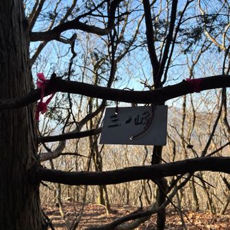 一ノ峰まではこの感じの表示だとここで悟る
そしてこの後道を間違えることを
この時の私はまだ知らない