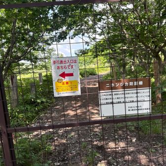 湿原に行くには柵を開けて行くようです
鹿が侵入しないよう開けたら閉めといて下さい