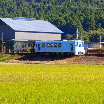 一乗谷駅に停車中の越美北線の列車。のどかだねぇ。