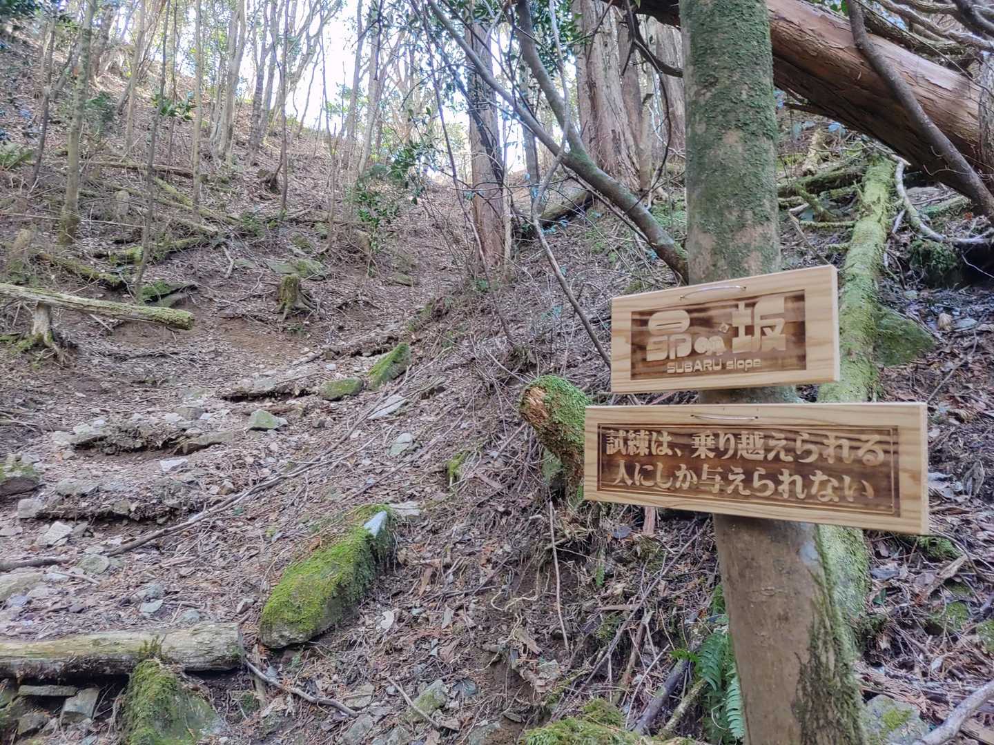最後の登り