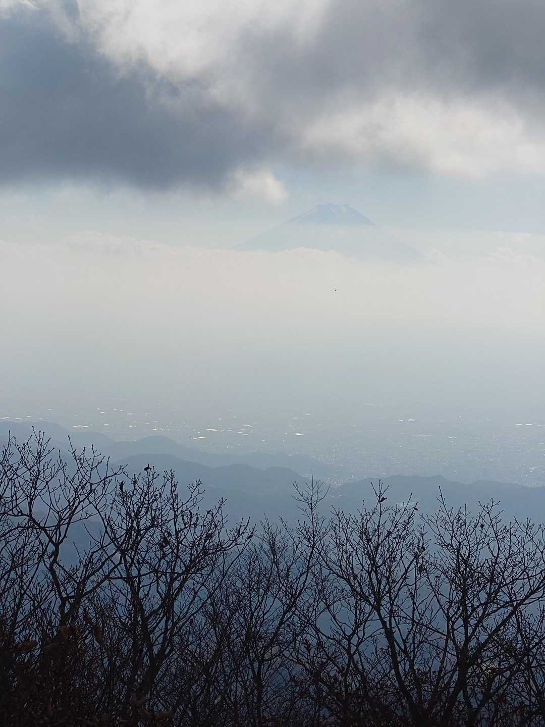 こんな感じで見えてました～