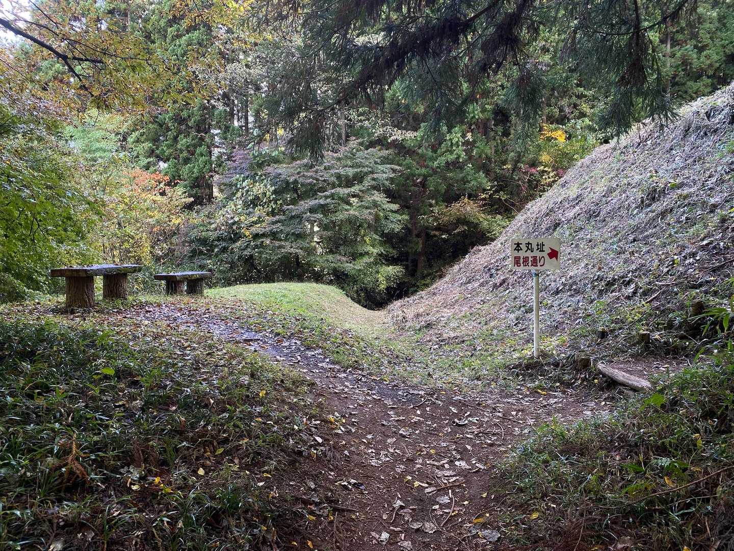 郷原駅-古谷登山口-密岩登山口-岩櫃山-岩櫃山登山口 縦走コースの写真