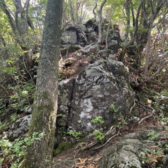The trail gets rocky just before the summit