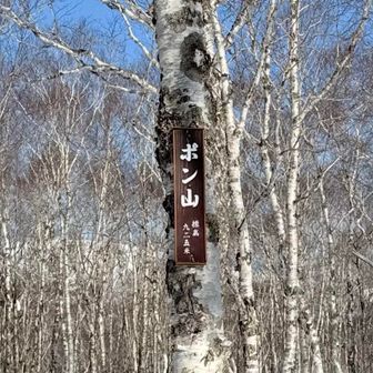 下に手書きの黄色い標識もあり