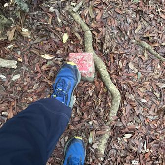 三角点無いので界の杭にタッチ。
山頂から少し進んでみるが、道は続いてるが引き返す。
