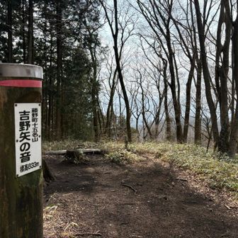 この後分岐の道を間違えて登り返すことに、とほほ