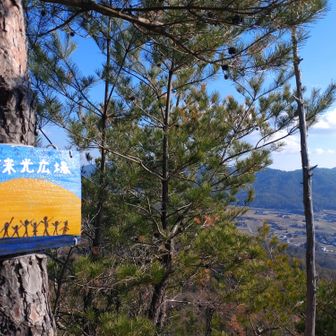 初日の出はここで見るのが正解?