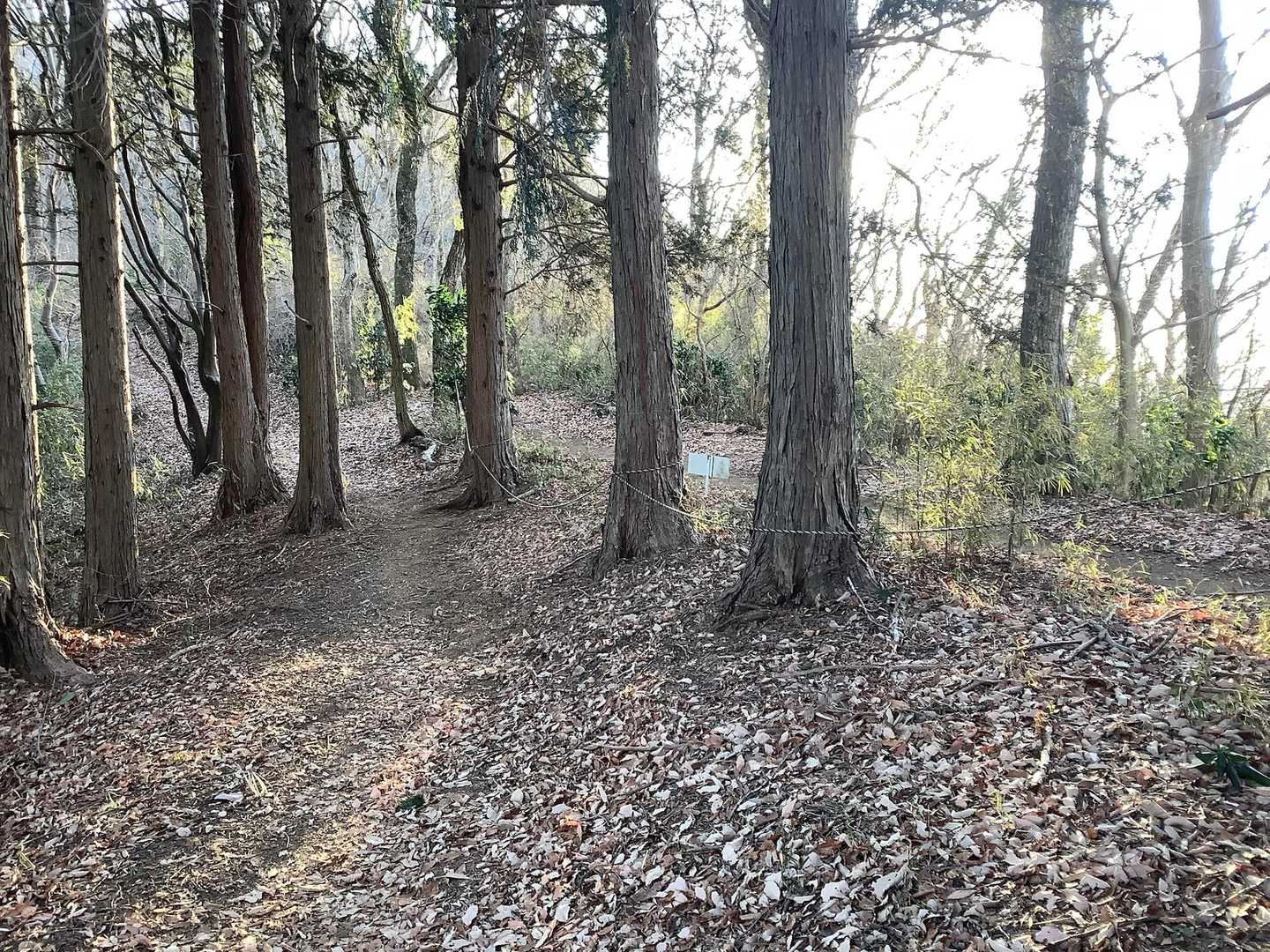 　登山道とマウンテンバイク用の道が並んでいるところに出ましたが、境界線にロープが張ってあったので、混同することはありませんでした。

　結局今日2台の自転車に出会いました。またすれ違った登山者は10人くらいでした。
