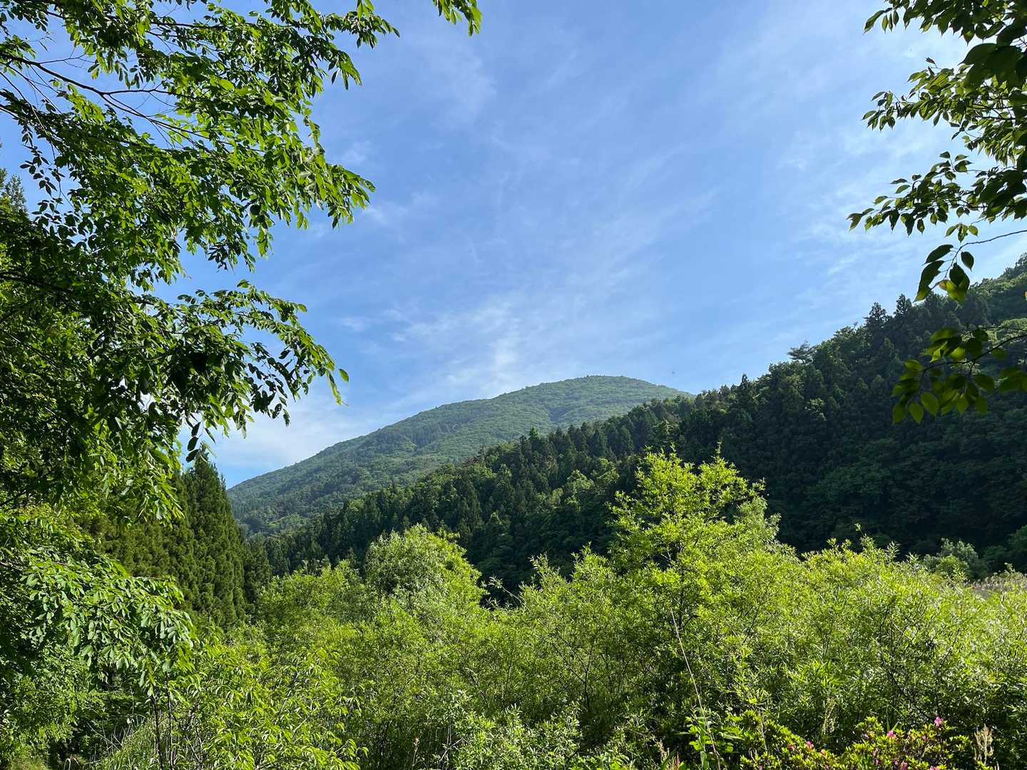 これから登るお山⛰️