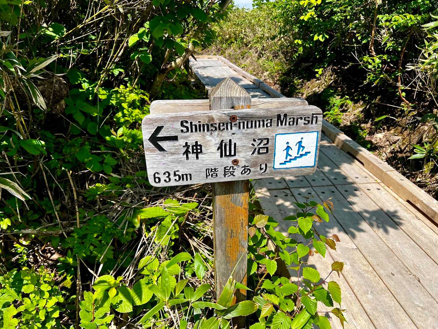 神仙沼登山口-ビーナスの丘-チセヌプリ 周回コースの写真