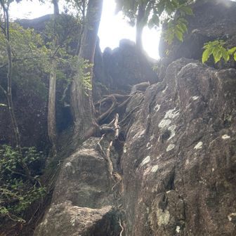 瑠璃山へ⛰️