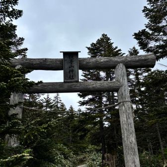 おじゃまします🙇‍♀️
