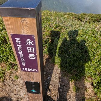永田岳の山頂標識。羽虫が多くて長居できませんでした。