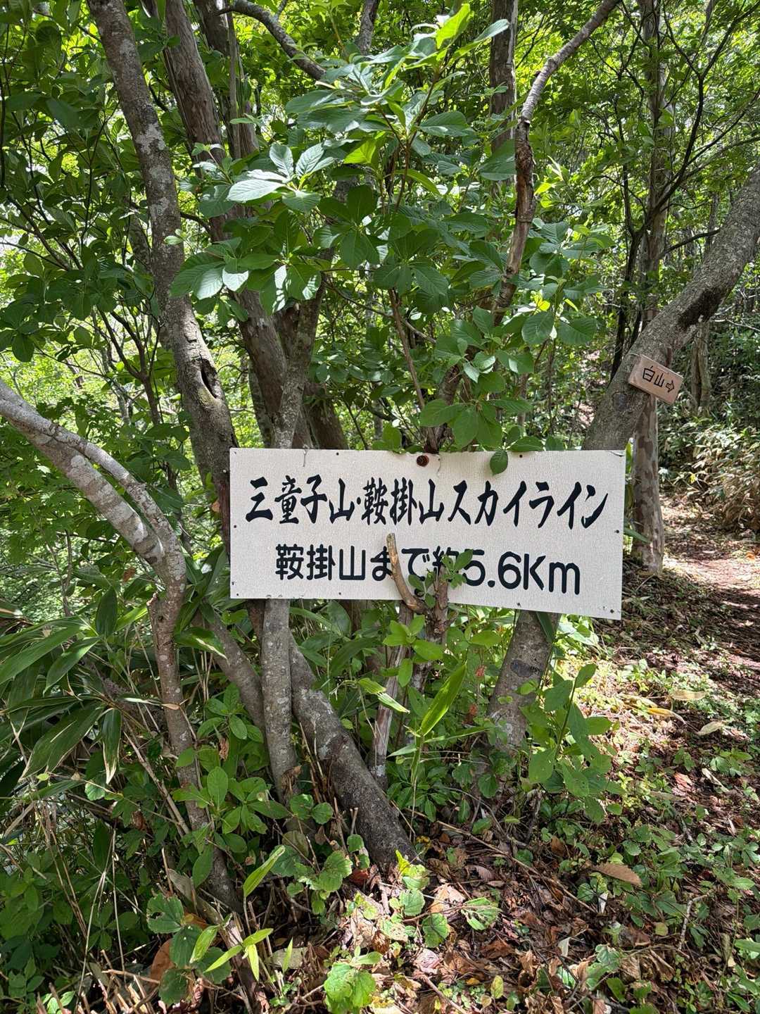 スカイラインをランナーさんとは逆走して鞍掛山へ
