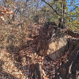 結構ゴツゴツしていた