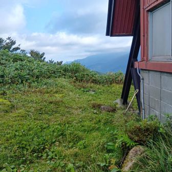 3日目、清水峠監視小屋脇の水場。
水出てました。
※監視小屋北西角の先、すぐそこ、ササの中です。