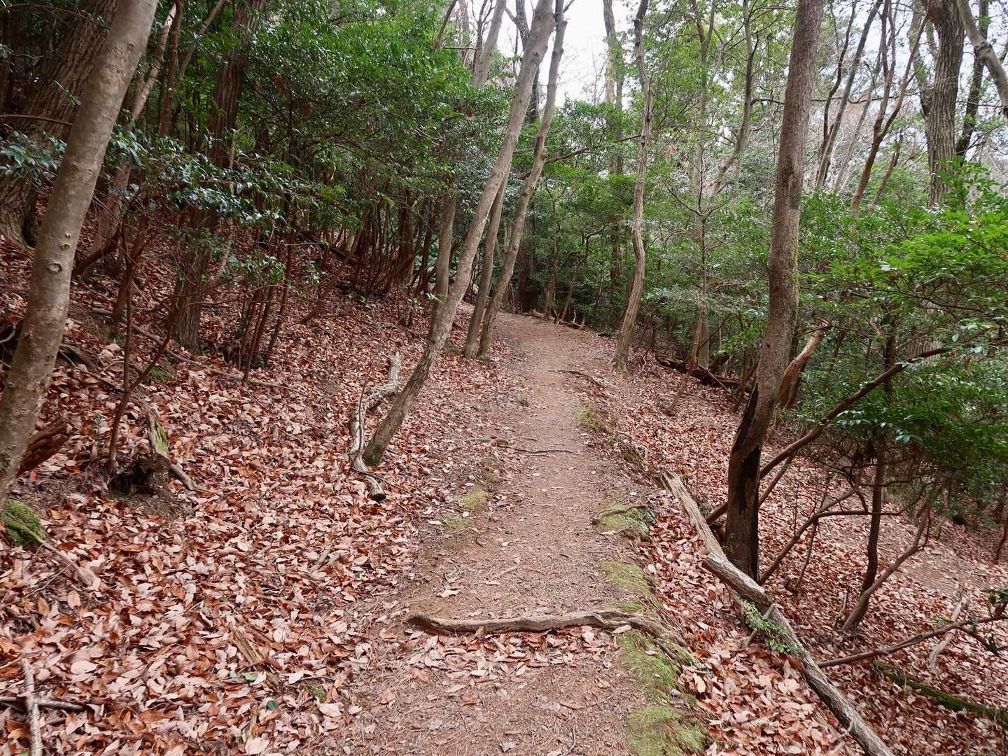 古参道から下ります。