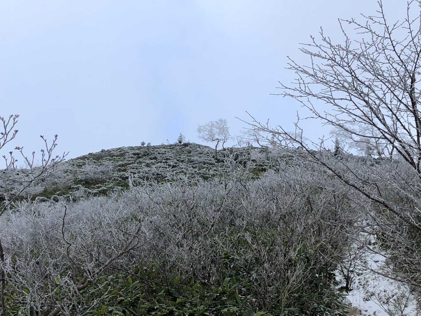 ミノブチ岳の写真