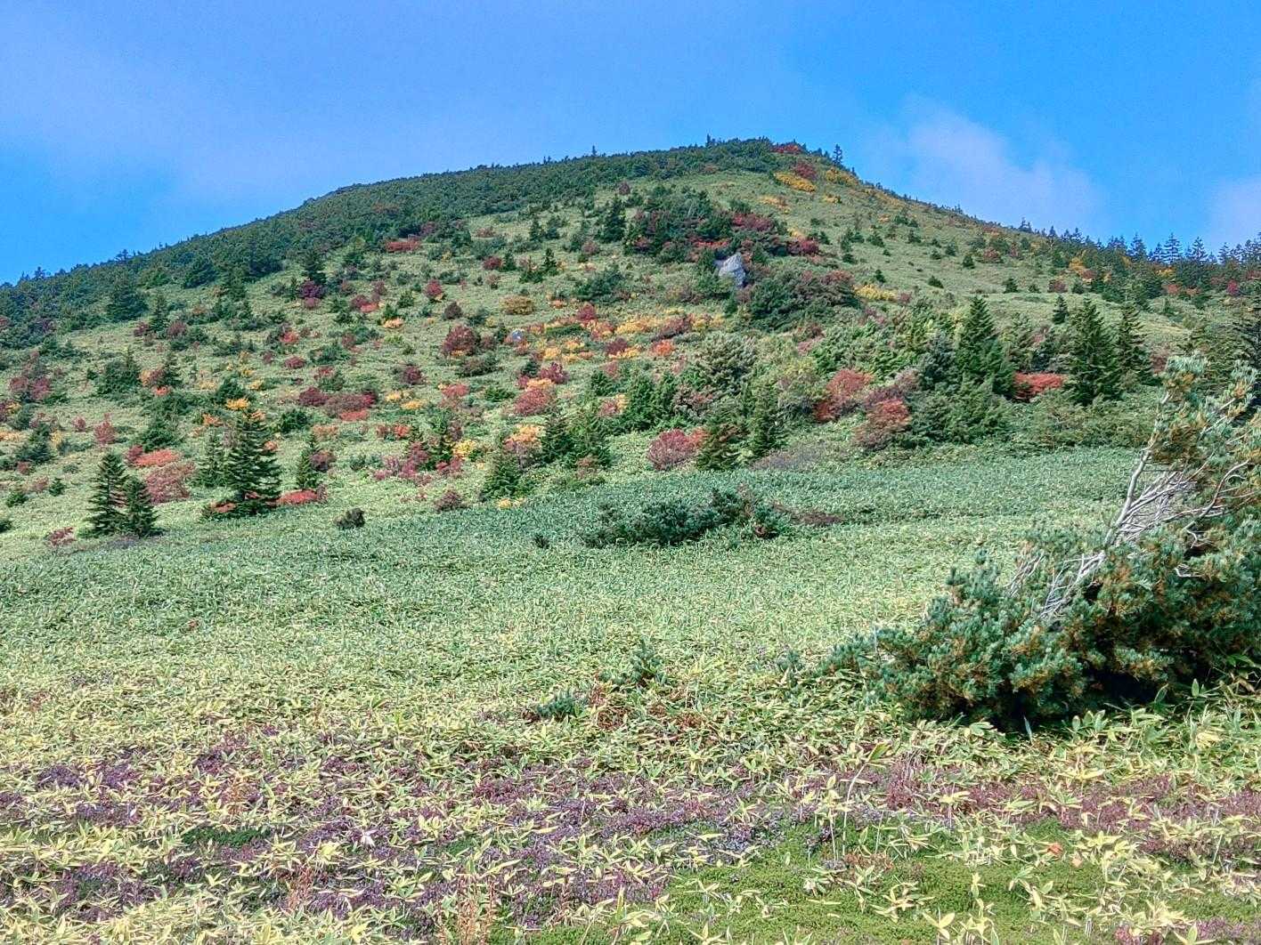 一切経山周回 | 地球の息吹を感じる山肌と風薫る高山植物の園を回る、雄大な山歩道の写真