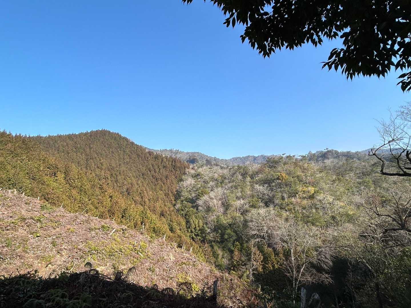 鷲ヶ嶽 往復コースの写真