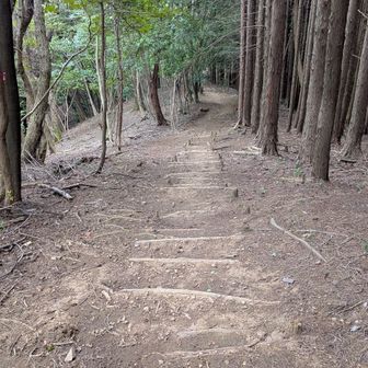 大倉山から正丸駅方向へ下ります