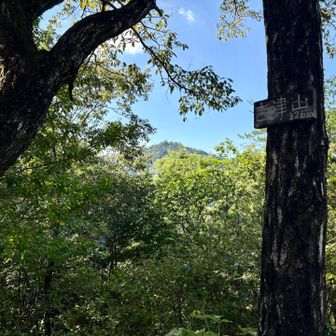 古津山の山頂標識。正面は百々ケ峰。