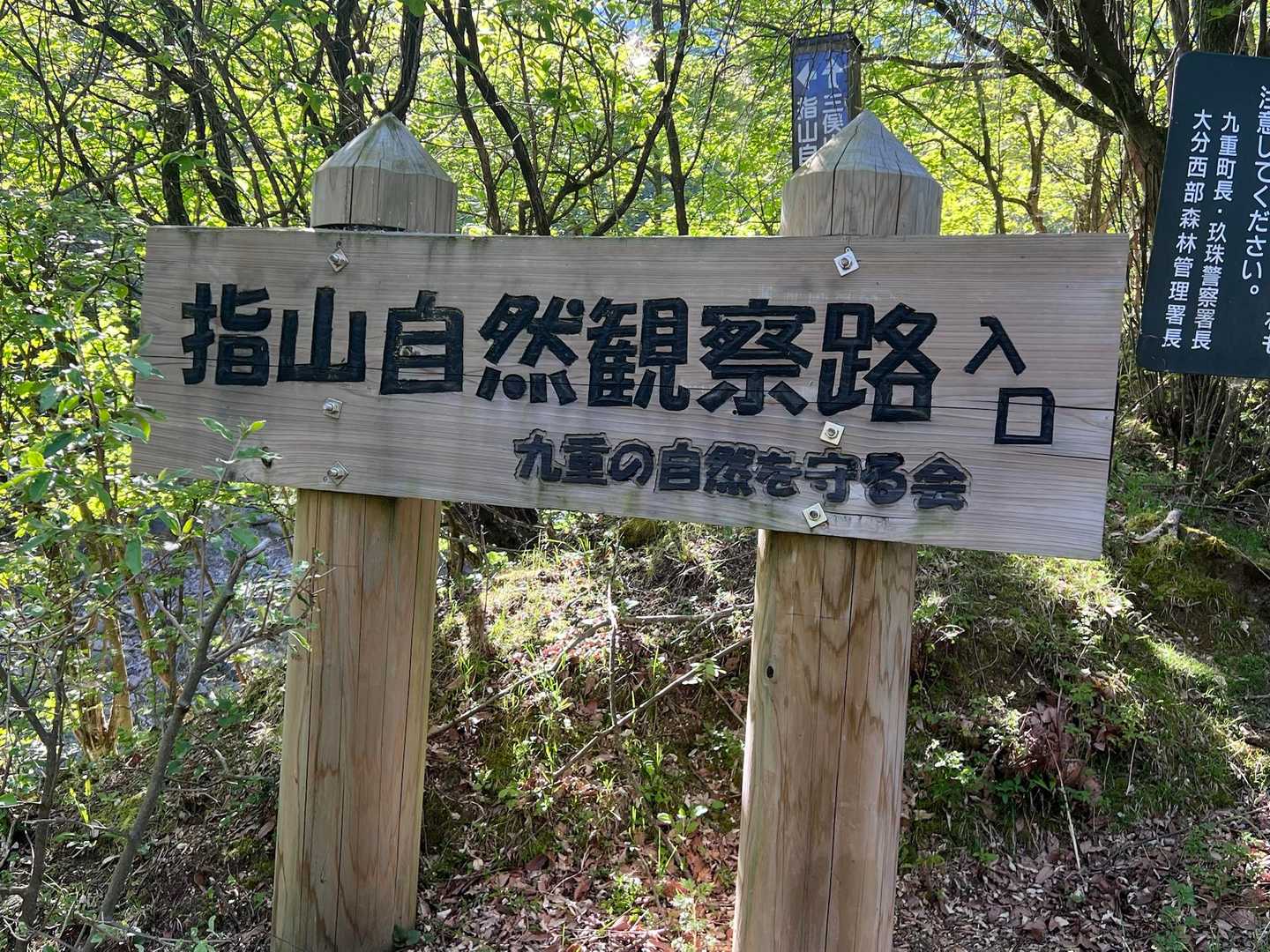 ついでなので登ってみる